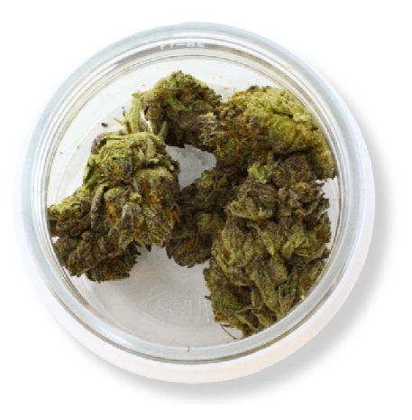 Sundae Thumper (Hybrid) – THCa Flower AU