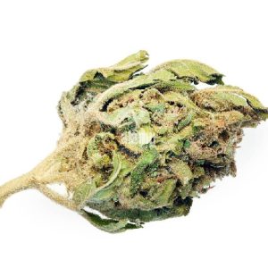 Hybrid Marijuana Strains Sydney