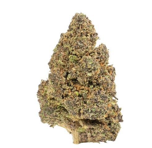 Orange Fritter Delta 8 Flower AU